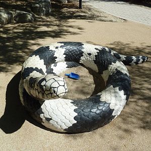Gecko Gulch - Play Area