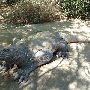 Gecko Gulch - Play Area