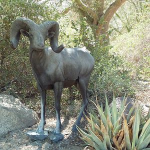 Desert Bighorn Sheep Statue