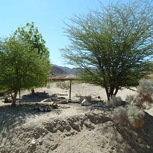 Abyssinian Ground Hornbill/Cuvier's Gazelle Exhibit