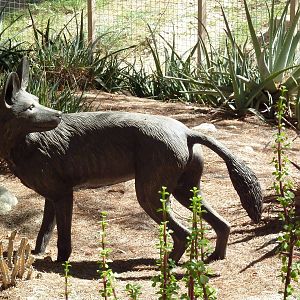 African Wild Dog Statue