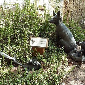 African Wild Dog Statues