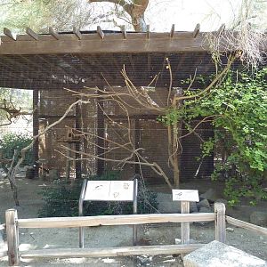 Von Der Decken's Hornbill/Spur-Winged Plover Exhibit