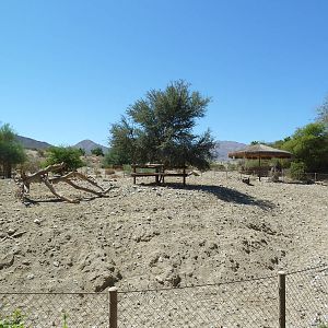 Grevy's Zebra Exhibit