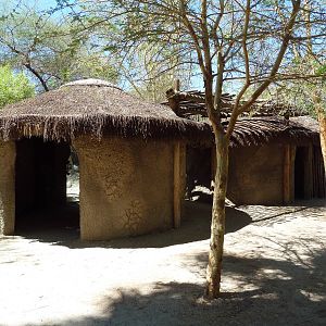 Striped Hyena Exhibit - Viewing Huts