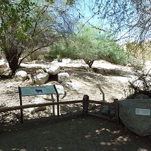 Warthog Exhibit