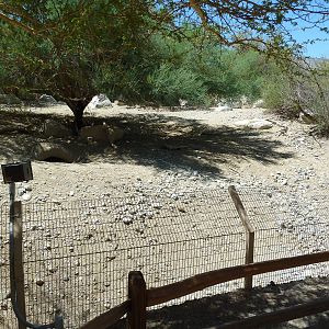 Warthog Exhibit