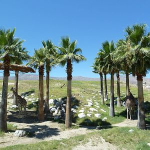 Reticulated Giraffe/Ostrich Exhibit