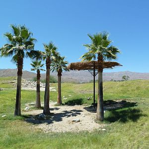 Reticulated Giraffe/Ostrich Exhibit