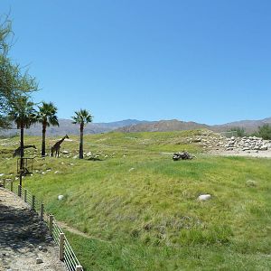 Reticulated Giraffe/Ostrich Exhibit