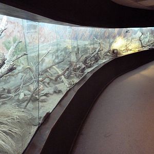 Reptile House