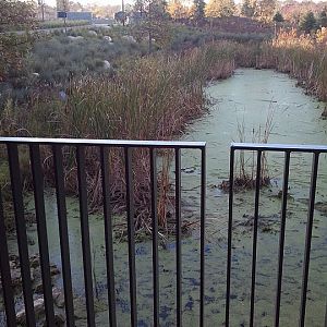 New Entrance October 2011