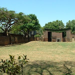 National Zoo of South Africa  - Oct 2011