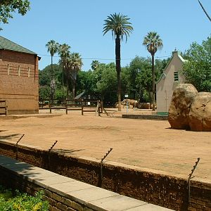 National Zoo of South Africa - Oct 2011