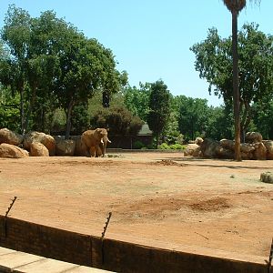 National Zoo of South Africa - Oct 2011