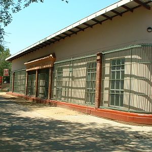 National Zoo of South Africa - Oct 2011