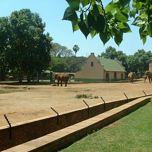 National Zoo of South Africa - Oct 2011