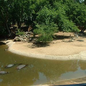 National Zoo of South Africa - Oct 2011