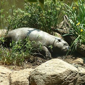 National Zoo of South Africa - Oct 2011