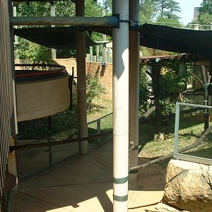 National Zoo of South Africa - Oct 2011