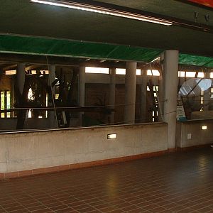 National Zoo of South Africa - Oct 2011