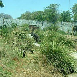 National Zoo of South Africa - Oct 2011