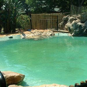 National Zoo of South Africa - Oct 2011