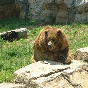 National Zoo of South Africa - Oct 2011