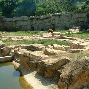 National Zoo of South Africa - Oct 2011