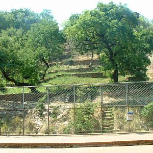 National Zoo of South Africa - Oct 2011