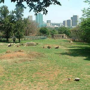 National Zoo of South Africa - Oct 2011