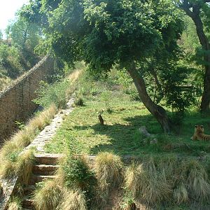 National Zoo of South Africa - Oct 2011