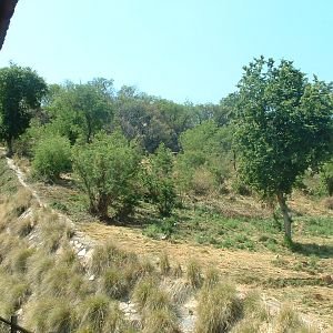 National Zoo of South Africa - Oct 2011