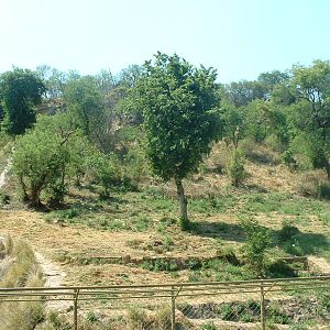 National Zoo of South Africa - Oct 2011