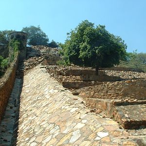 National Zoo of South Africa - Oct 2011