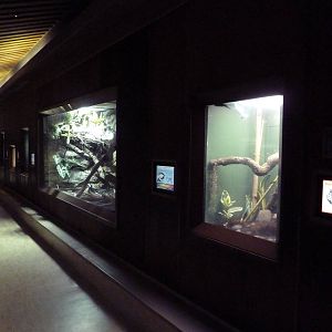 Reptile House Hallway