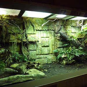 Reptile House Exhibit (3 Species)