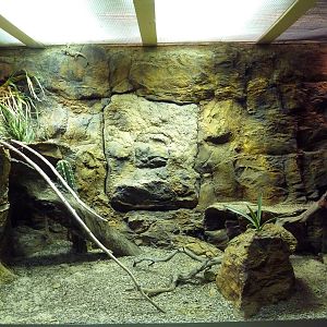 Reptile House Exhibit (3 Species)