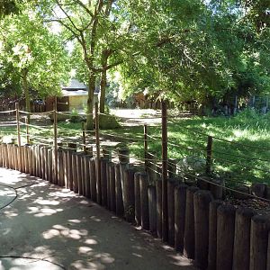 Galapagos Tortoise/Rhea Exhibit