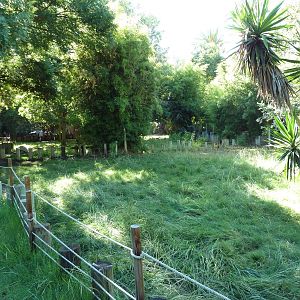 Galapagos Tortoise/Rhea Exhibit