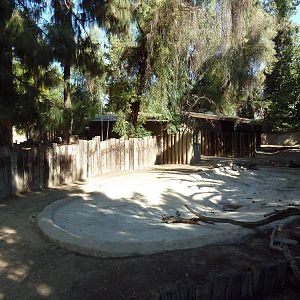 Empty Paddock (Old Alpaca Exhibit)