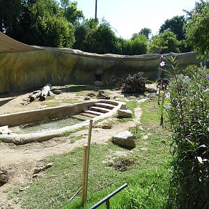 Giant Anteater/Capybara Exhibit