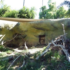 Giant Anteater/White-Nosed Coati Exhibit
