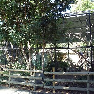 Ring-Tailed Lemur Exhibit