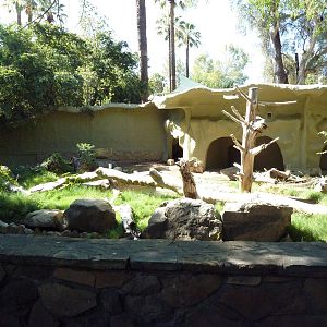 Grizzly Bear Exhibit