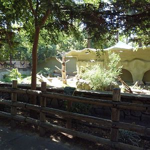 Grizzly Bear Exhibit