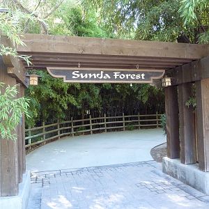 Sunda Forest - Entrance
