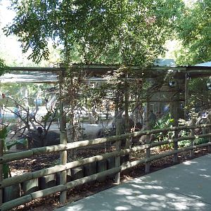 Australian Walk-Through Aviary