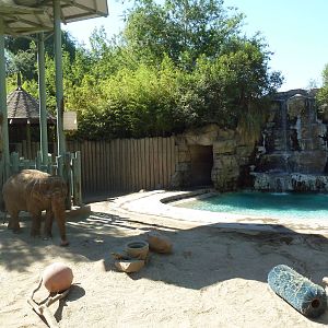 Asian Elephant Exhibit