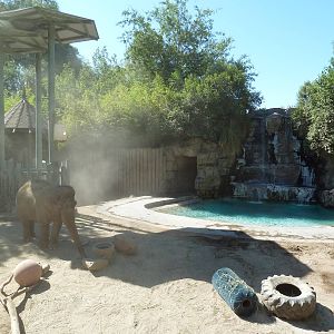 Asian Elephant Exhibit